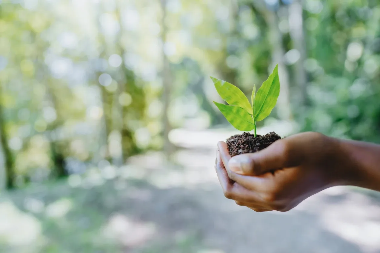 Conheça as Iniciativas da RKT Ambiental em Todo o Brasil