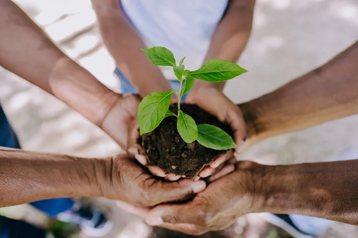 A Abrangência Nacional da RKT Ambiental na Proteção do Meio Ambiente