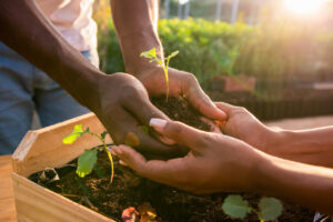 iStock 1331087805 Consultoria Ambiental